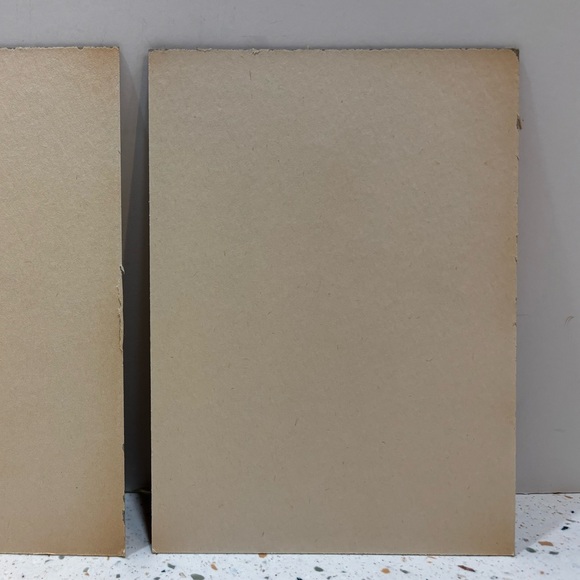 Vintage Boston Terrier Puppy Lithograph Print – Mid Century Dog Art - Picture 5 of 5